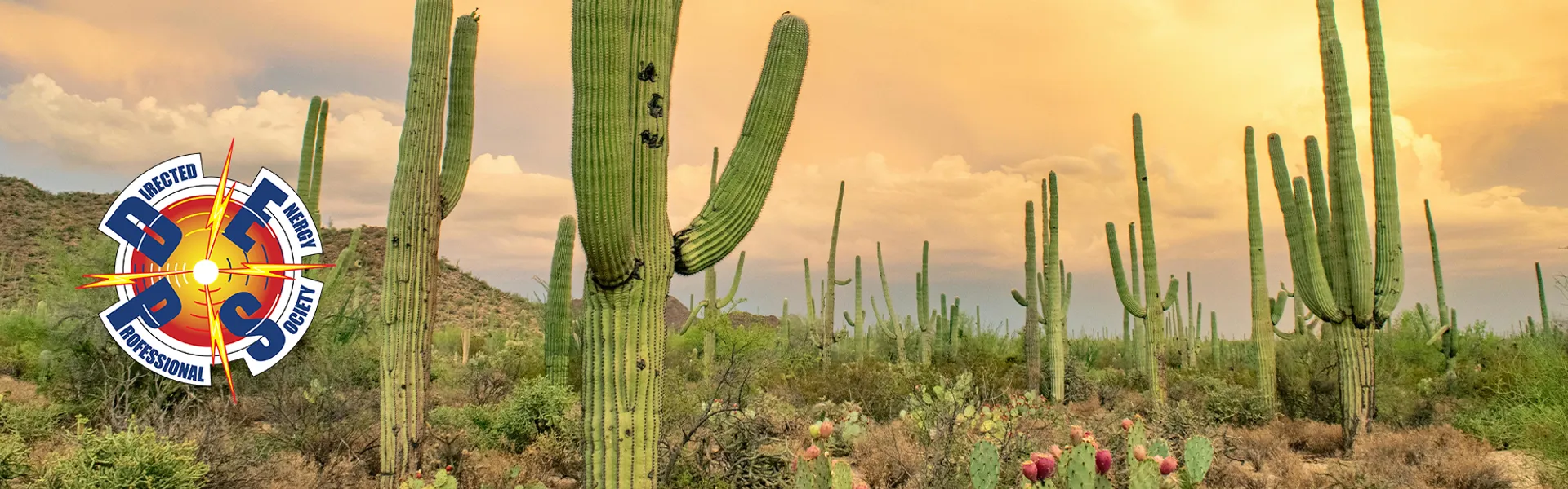 NYFORS @ The 2026 Annual DEPS Symposium