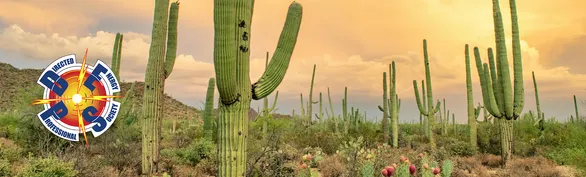 NYFORS @ The 2026 Annual DEPS Symposium