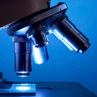 Area Medical and microscopy