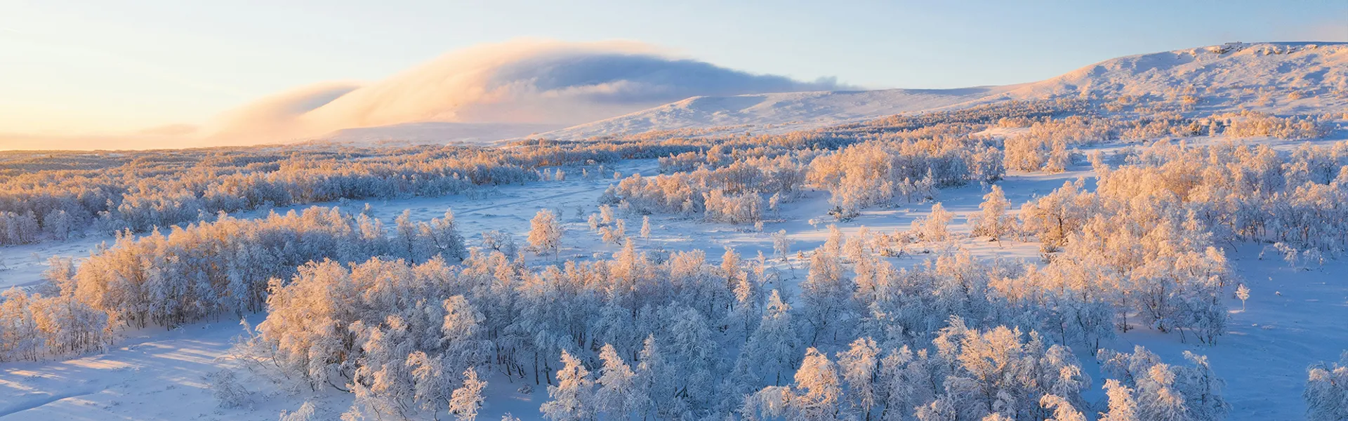 World leading fiber processing products